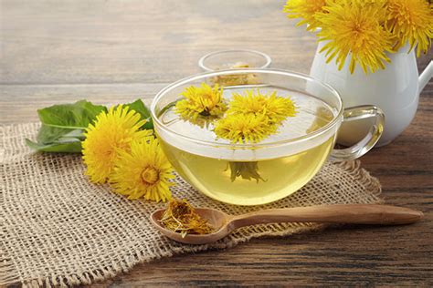 How to Make Dandelion Root Tea | Chinese Teas 101