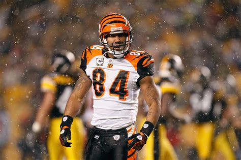 T.J. Houshmandzadeh weighs in on who Bengals should draft with 5th pick ...