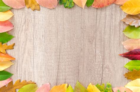 Free Images : background, border, bright, brown, close up, colorful, colors, design, environment ...