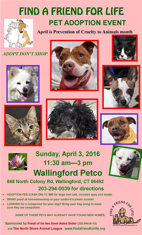 New Haven Animal Shelter Adoption Event | Hamden, CT Patch