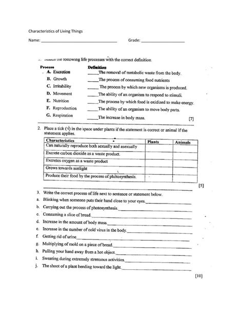 Characteristics Of Life Worksheet - Educational.my.id | Characteristics of living things ...