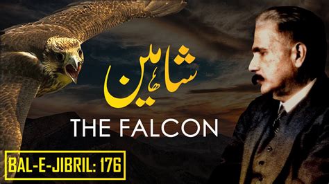 Bal-e-Jibril: 176 | The Falcon | Shaheen | Allama Iqbal | Iqbaliyat | AadhiBaat - YouTube