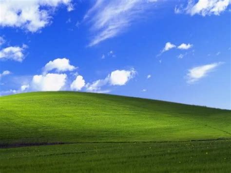 [Image - 735052] | Windows XP Bliss Wallpaper | Know Your Meme