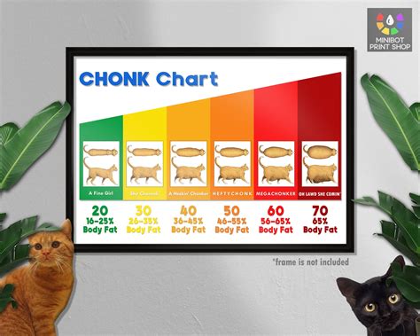 The Chonk Chart FEMALE , Cat Weight Gain Poster, Veterinary Wall Art ...