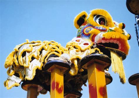 Chinese Lion Dance | Hire Lion Dance | Traditional Chinese Entertainments