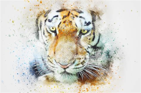 Tiger Animal Art · Free image on Pixabay