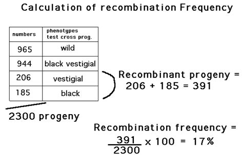 Calculating recombination frequency map units