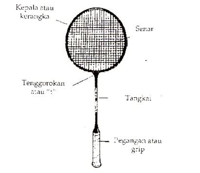 Detail Gambar Raket Bulu Tangkis Beserta Ukurannya Koleksi Nomer 5