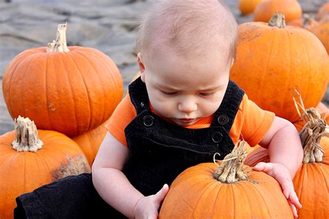 Missouri U-Pick Pumpkin Patch | Fall Festival in New Haven, MO