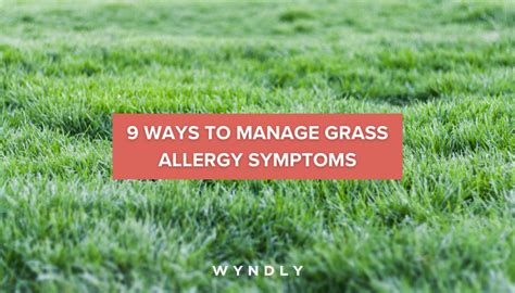 How to Best Manage Grass Allergy Symptoms (2023) & Wyndly