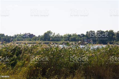 Aksai River Bank With Houses And High Grass Stock Photo - Download ...