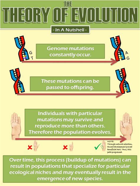 Theory Of Evolution: Theory Of Evolution Why Is It A Theory