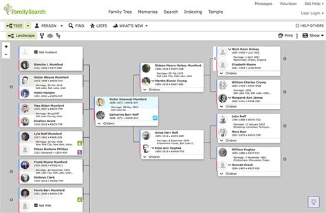 Use the Views in FamilySearch.org – Maintaining Motherhood