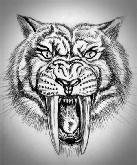 Sketch of a sabertooth tiger in pen. Freehand, based on conceptual artwork. Vignette added with ...