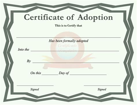 Blank Adoption Certificate Template | Best Creative Template Ideas