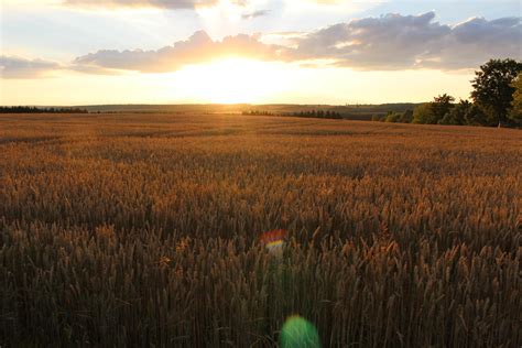 A nice sunset in Thuringia, Germany [OC] [5184x3456] : r/EarthPorn