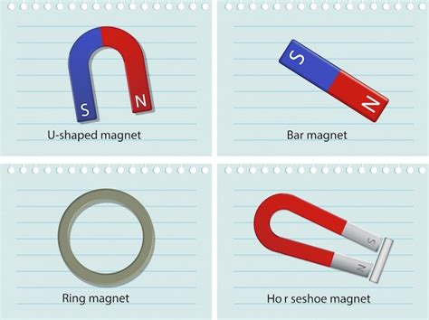 Four types of magnets illustration Vector | Free Download