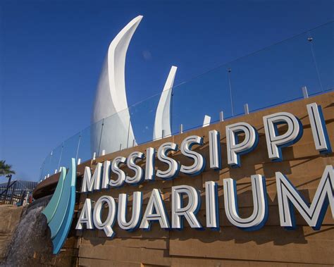 THE 15 BEST Things to Do in Gulfport - 2023 (with Photos) - Tripadvisor