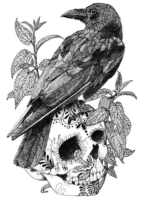 The Raven Tattoo Design Drawings, Ink Pen Drawings, Line Art Drawings ...