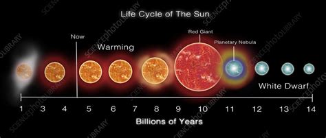 Life Cycle of Sun, Illustration - Stock Image - C033/4549 - Science Photo Library
