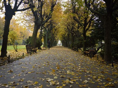 Parks in Bucharest: Get the Detail of Parks in Bucharest on Times of ...