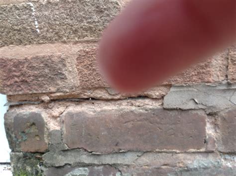 Repointing a brick wall | DIYnot Forums