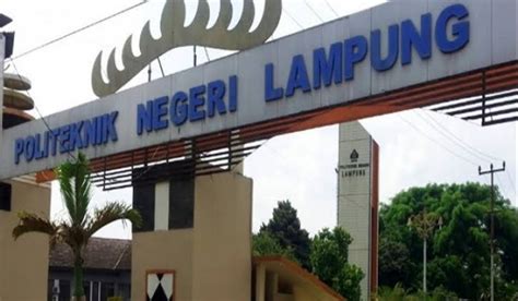 18 Jurusan Politeknik Negeri Lampung (POLINELA) – Blog Mamikos