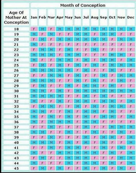 Chinese Gender Calendar Chart - Custom Calendar Printing 2024