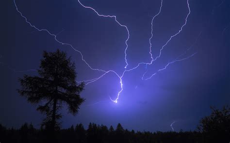 Download Forest Earth Photography Lightning HD Wallpaper by Joey23