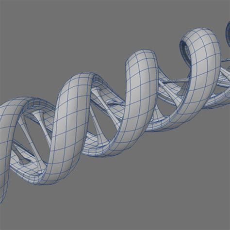 3d Dna Strand Model