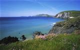 Beautiful scenery of Ireland wallpaper #2 - 1920x1200 Wallpaper ...