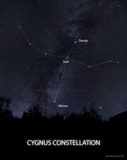 The Constellation Cygnus | Facts, Location, Photos and Mythology