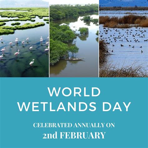 2월 2일, 세계 습지의 날 (世界 濕地의 날 , World Wetlands Day) | 크리스천 라이프 - 에듀 라이프