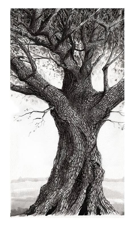 Animal Sketch Tree Pencil Drawing | Sketch Art Drawing