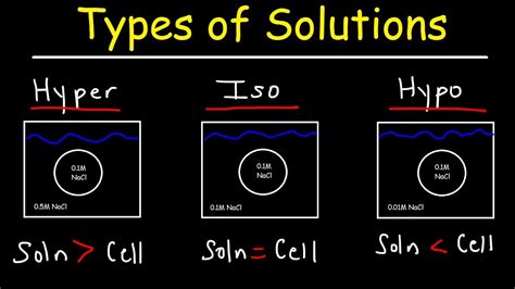 Hypertonic, Hypotonic, and Isotonic Solutions - YouTube