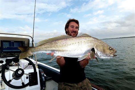 How to catch mulloway - Fishing World Australia