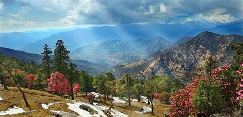 Uttarakhand Hill Stations Archives - Uttarakhandi