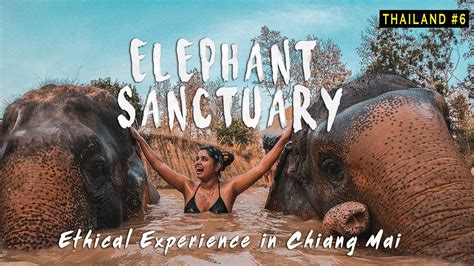 Elephant Sanctuary Tour - Chiang Mai | Ethical experience | Thailand Series - YouTube
