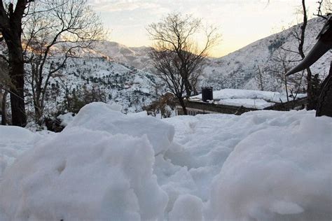 Winter In Kashmir: 9 Breathtaking Frames Of Fresh Snowfall In Jammu ...