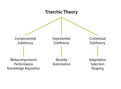 Triarchic Theory (Robert Sternberg) - InstructionalDesign.org