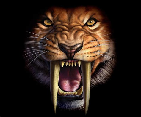 Saber-Toothed Tiger - Image Abyss