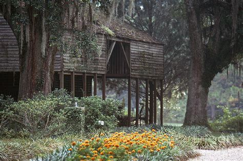 Rosedown Plantation Photograph by Granger