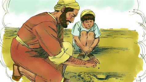 Children's Bible Story Devotion Parable of Mustard Seed, Aug 30 ...