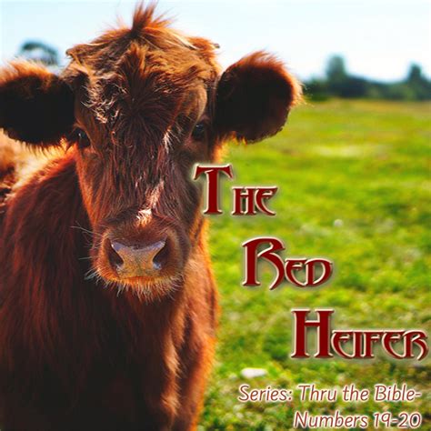 The Red Heifer - Numbers 19-20