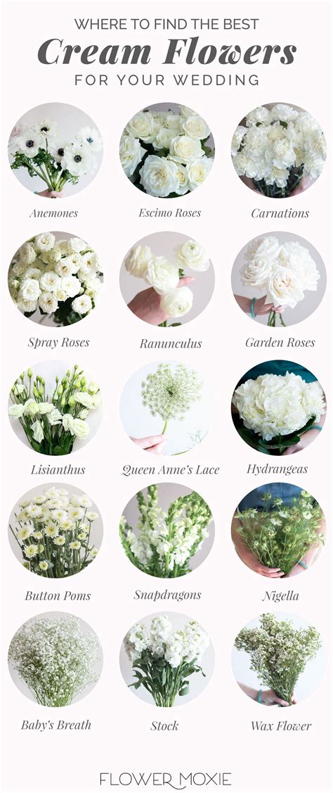 Cream and White Wedding Flowers | Bulk Fresh Wedding Flowers