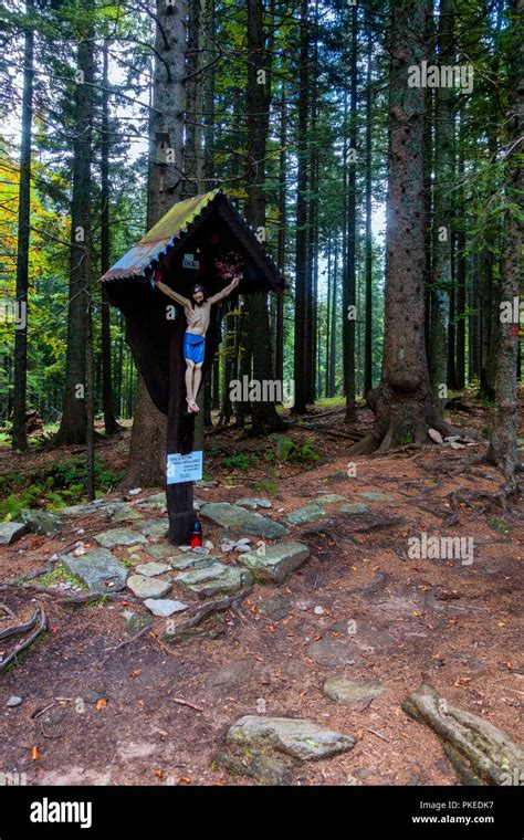 Statue of Jesus on cross in woods Stock Photo - Alamy