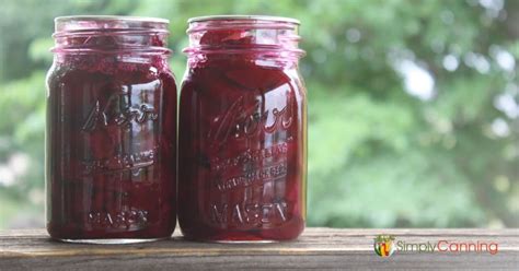 Pickled Beets/ An easy quick condiment. With Canning Instructions