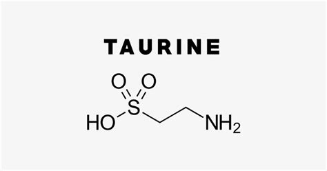 Taurine: Uses, Side Effects, Interactions, Dosage and Supplements