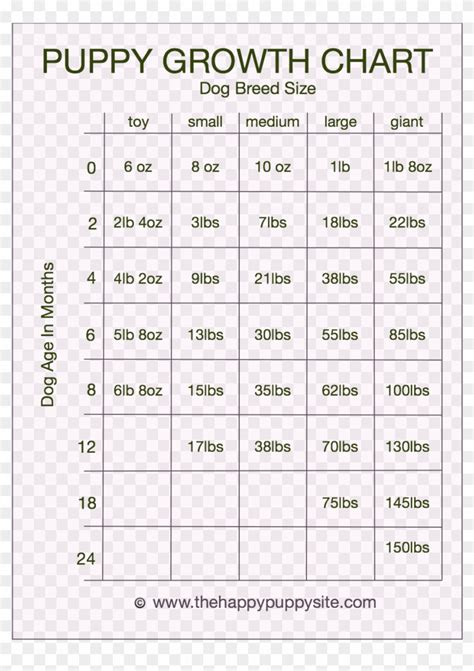 Pitbull Puppy Feeding Chart Development Stages With - Labrador Retriever, HD Png Download ...