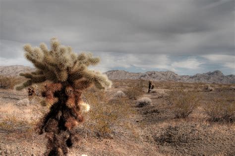 desert | On Black I do love the deserts of this world. Janua… | Flickr